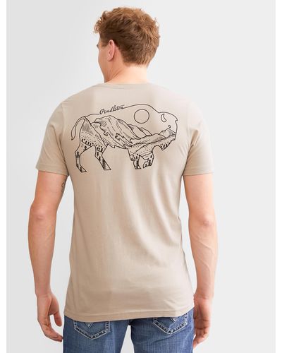 Pendleton Bison Landscape T-shirt - Natural