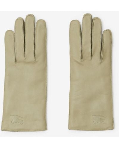 Burberry gloves womens best sale 2016