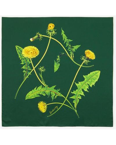 Burberry Dandelion Silk Scarf - Green