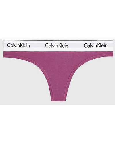 Calvin Klein String - Modern Cotton - Paars