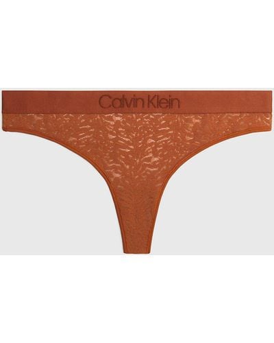 Calvin Klein Plus Size Lace Thong - Intrinsic - Orange