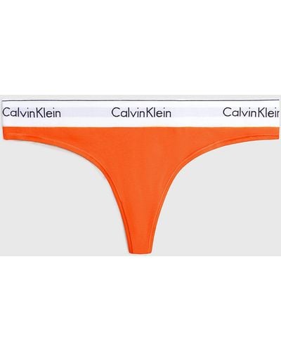 Calvin Klein Plus Size Thong - Modern Cotton - Orange
