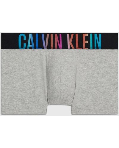 Calvin Klein Boxer - Intense Power Pride - Gris