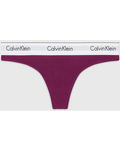 Calvin Klein Thong - Modern Cotton - Purple