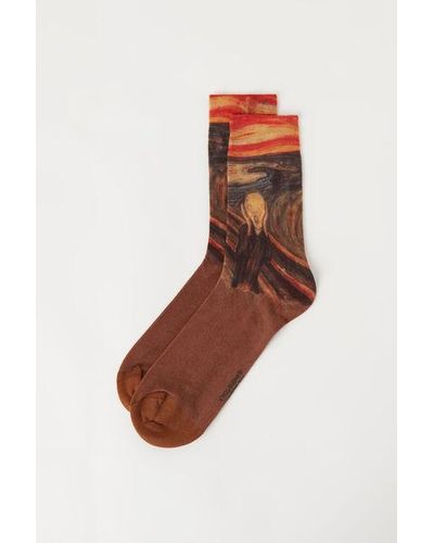 Calzedonia Cotton Short Socks - Brown