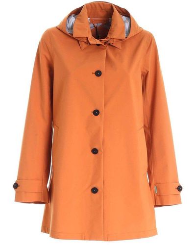 Save The Duck Buttoned Hooded Parka - Orange