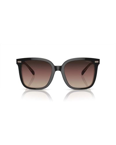 COACH Butterfly Frame Sunglasses - Black