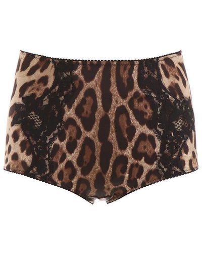 Dolce & Gabbana Leopard Print Lace Briefs - Brown