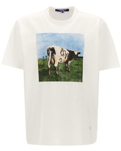 Junya Watanabe X Pink Floyd Cow Printed Crewneck T-shirt - Grey