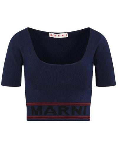 Marni Scoop Neck Cropped Knitted Top - Blue