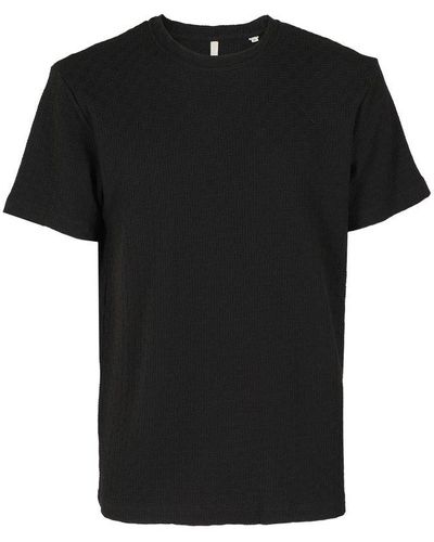 sunflower Logo Jacquard Crewneck T-shirt - Black
