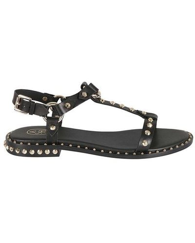 Ash Patsy Stud-embellished Almond-toe Sandals - Black
