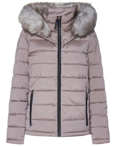 DKNY: coat for girls - Violet  Dkny coat D35T04 online at