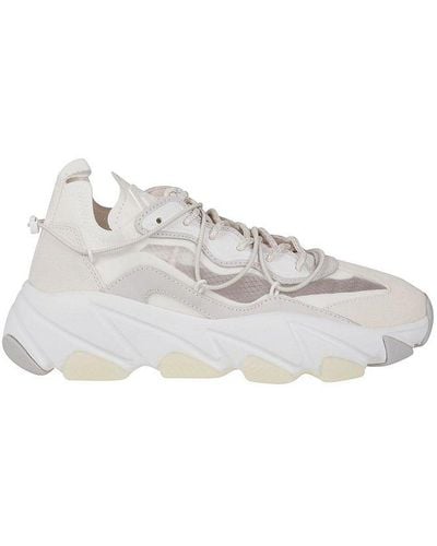 Ash Extra Bis Low-top Sneakers - White
