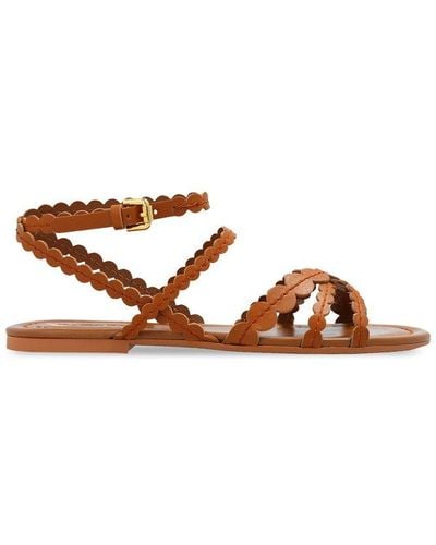 See By Chloé Kaddy Ankle-strapped Sandals - Brown