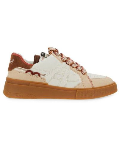 Ash Logo Embroidered Lace-up Trainers - Brown