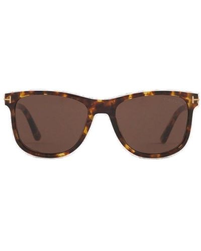 Tom Ford Sinatra Square Frame Sunglasses - Brown