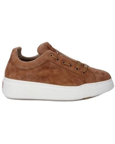 Max Mara Round Toe Lace-up Sneakers - Brown