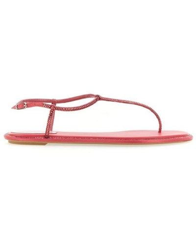 Rene Caovilla Diana Embellished Thong Sandals - Pink