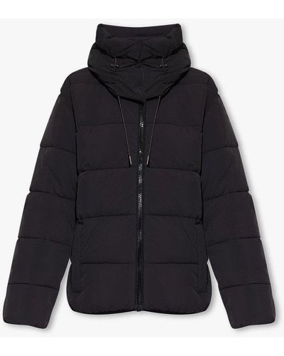 Zadig & Voltaire 'kory' Insulated Hooded Jacket - Black