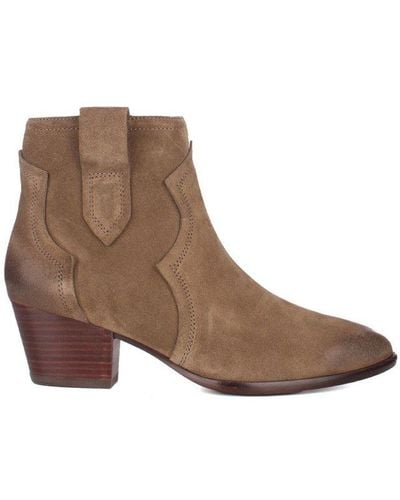 Ash Hurricane Pointed-toe Ankle Boots - Brown