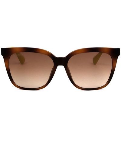 MAX&Co. Square Frame Sunglasses - Brown