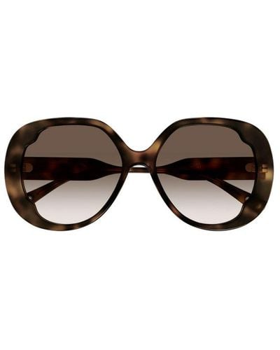 Chloé Butterfly Frame Sunglasses - Black