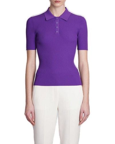 Theory Short Sleeved Ribbed-knitted Polo Shirt - Purple