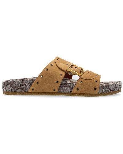 COACH Ally Buckle Detailed Slides - Brown