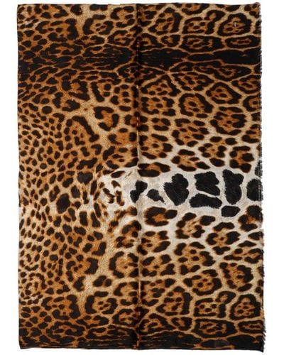 Saint Laurent Leopard Printed Scarf - Brown