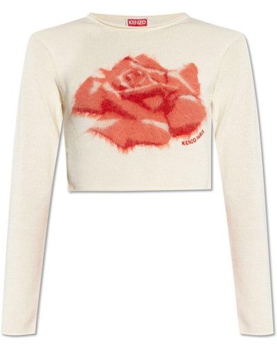 KENZO Cropped Sweater - Red