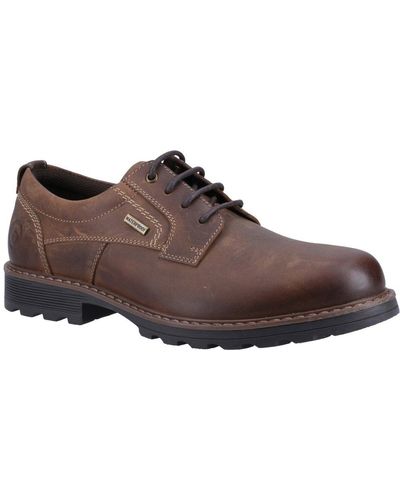 Cotswold Tadwick Lace Up Shoes - Brown