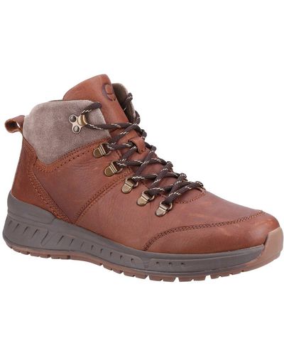 Cotswold Avening Walking Boots - Brown