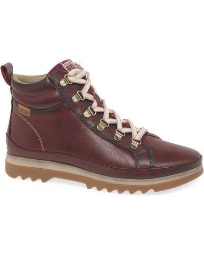 Pikolinos Vigo Ankle Boots - Brown