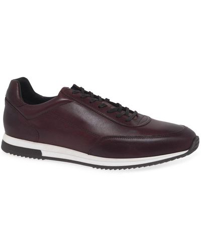 Loake Bannister Trainers - Brown