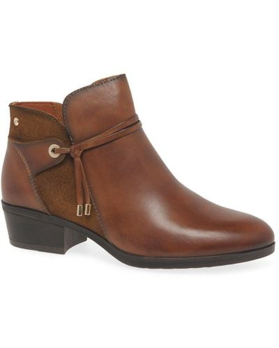 Pikolinos Darcey Ankle Boots - Brown