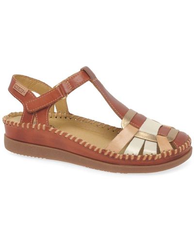 Pikolinos Callarta Sandals - Brown