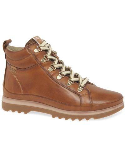 Pikolinos Vigo Ankle Boots - Brown