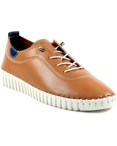 Lunar Flamborough Shoes - Brown
