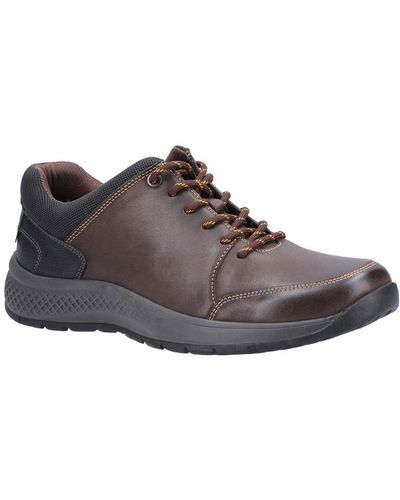 Cotswold Rollright Lace Up Shoes - Brown