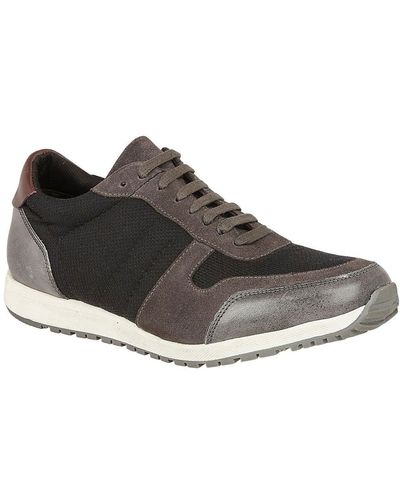 Lotus Barrie Casual Sneakers - Black