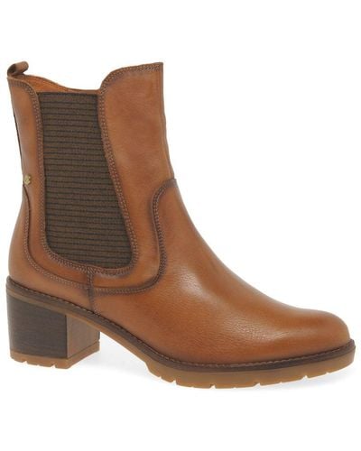Pikolinos Lanark Chelsea Boots - Brown