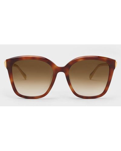 Charles & Keith Oversized Square Acetate Sunglasses - Brown