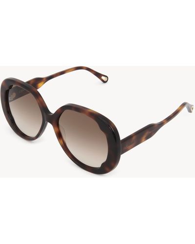 Chloé Lilli Sonnenbrille - Braun