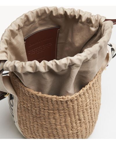 Chloé Small Woody Basket In Fair-trade Paper - Brown