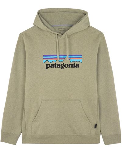 Patagonia Hoodie - Vert