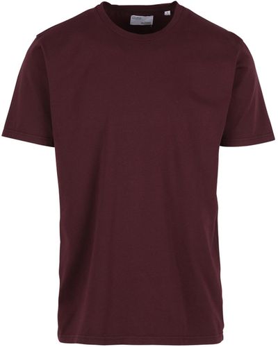 COLORFUL STANDARD T-Shirt - Violet