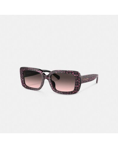 COACH Signature Oversized Rectangle Sunglasses - Brown