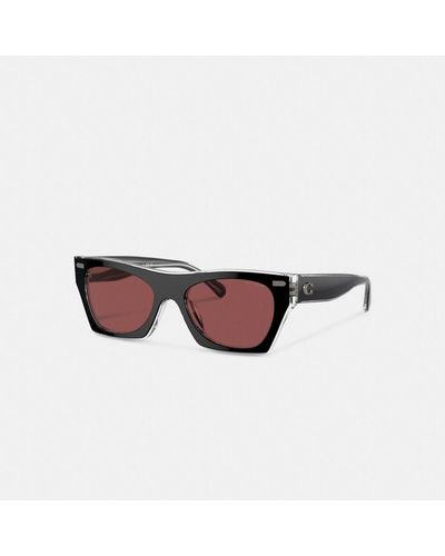 COACH Beveled Signature Square Sunglasses - Brown
