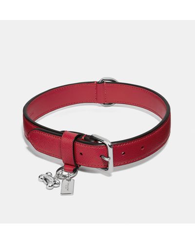 COACH Large Pet Collar - Red